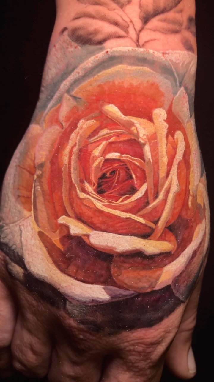 Flower, Rose