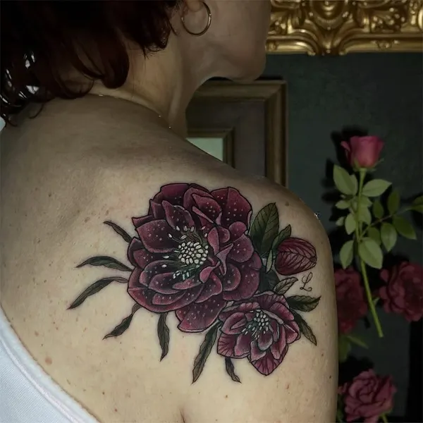 Flower, Rose, Nature, 모란