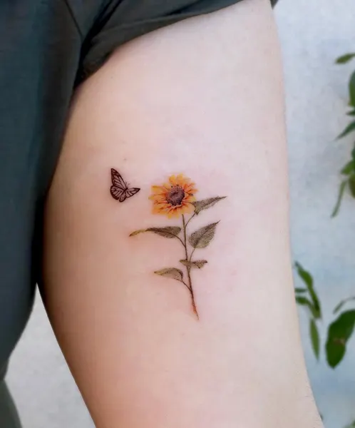 Flower, 해바라기