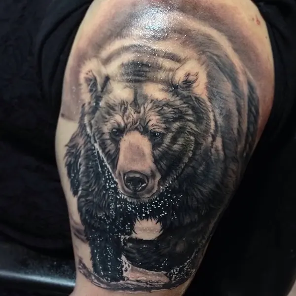 Animal