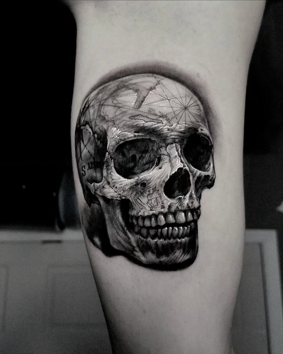 뼈, Skull