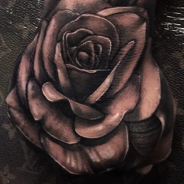 Flower, Rose