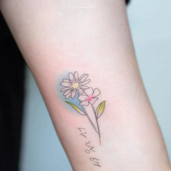 Flower, 백합, 튤립, 야생화, 아이리스, 카네이션, 수선화
