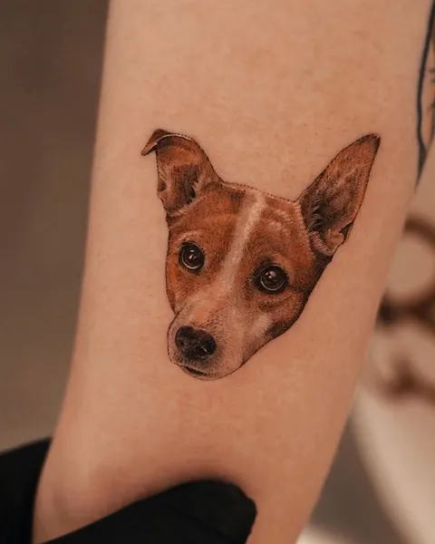 soltattoo