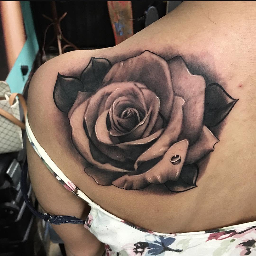 Flower, Rose, Nature