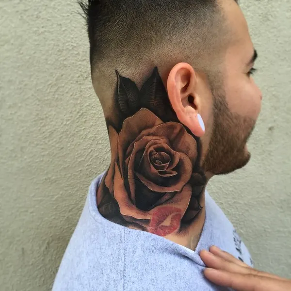 Flower, Rose, Nature