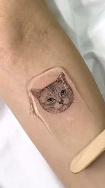 고양이