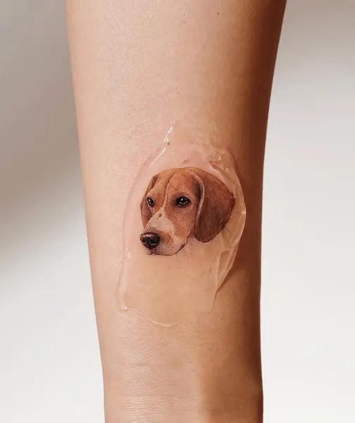 강아지, 반려동물