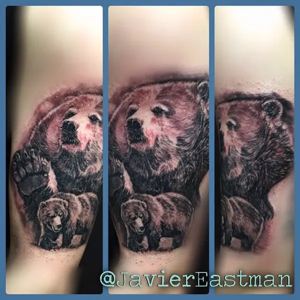 Animal, 곰