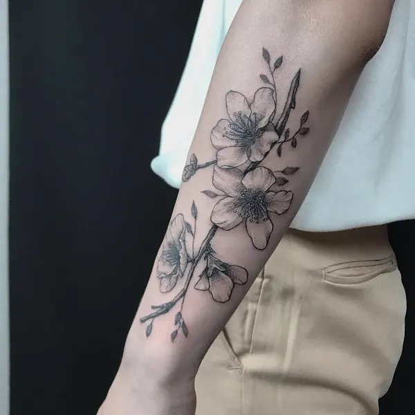 Flower, Rose