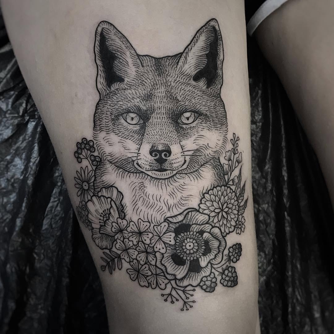 Animal, 여우
