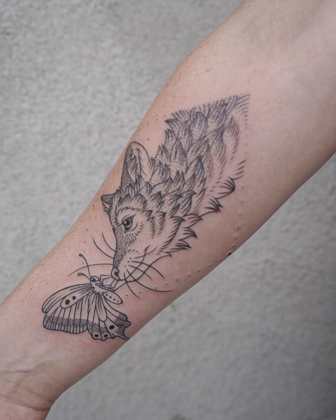 Animal, Tiger