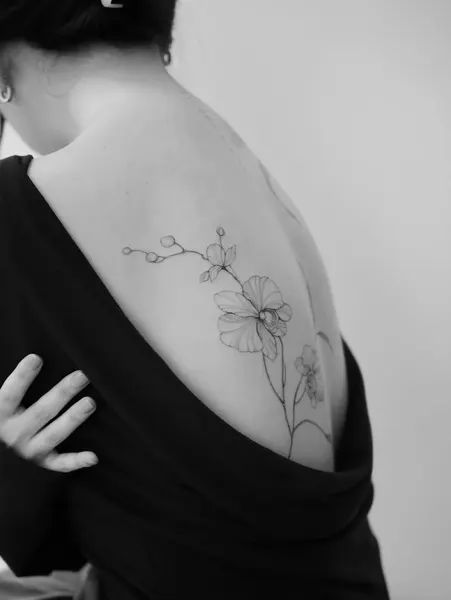 Flower, Nature