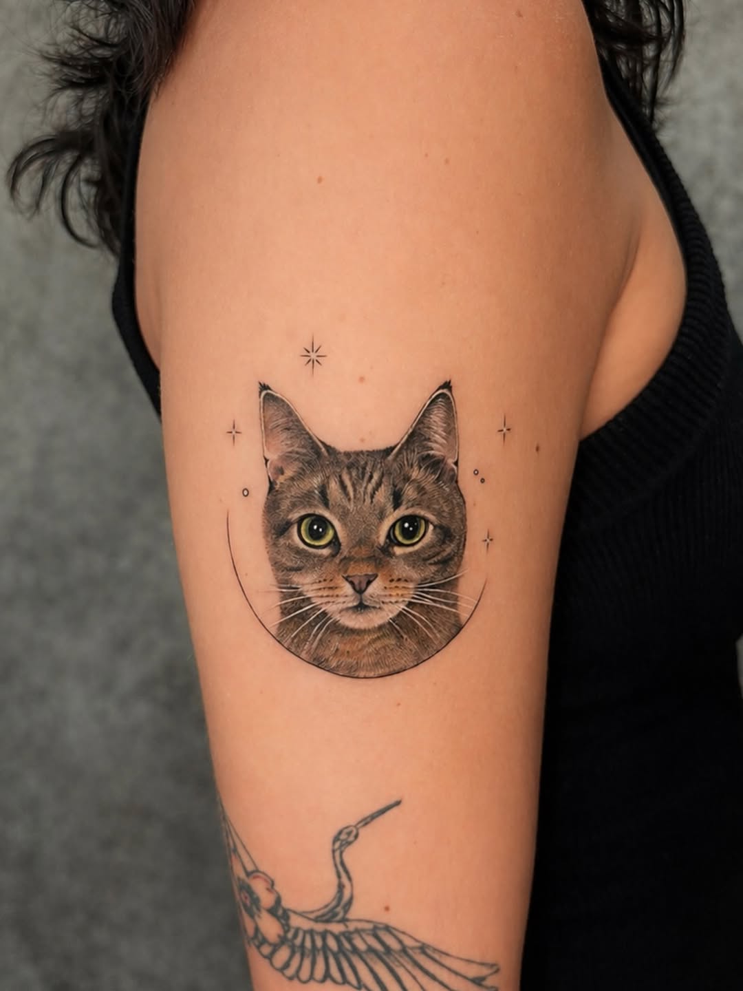 Animal