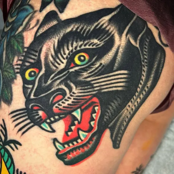 Tiger, Animal, 표범, 재규어