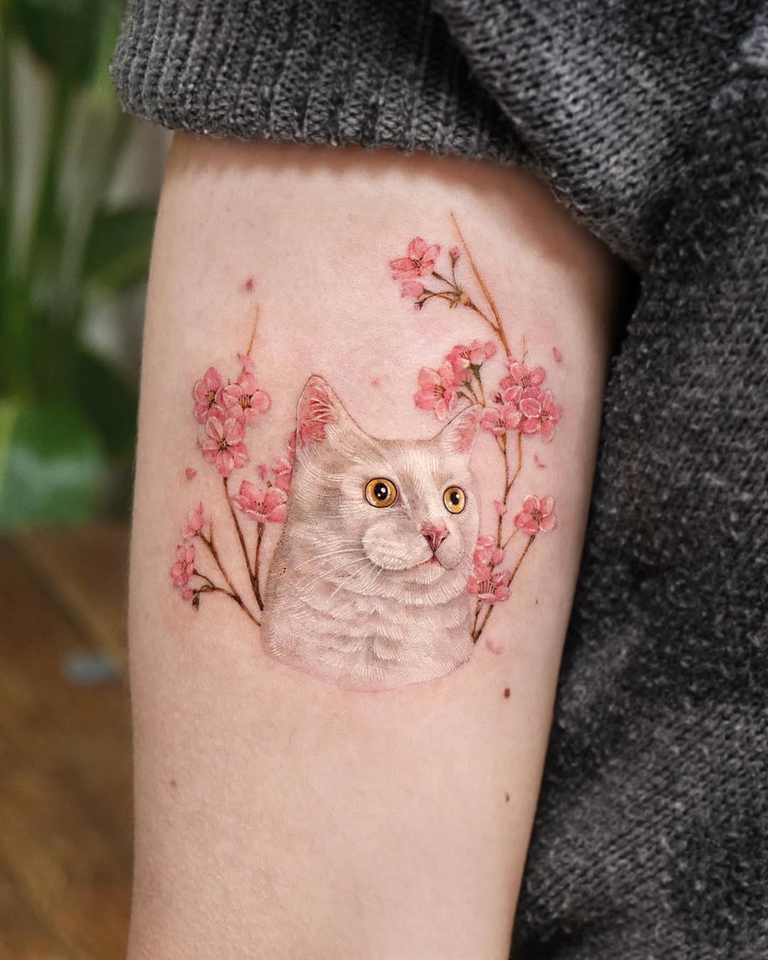 고양이, 여우 가면