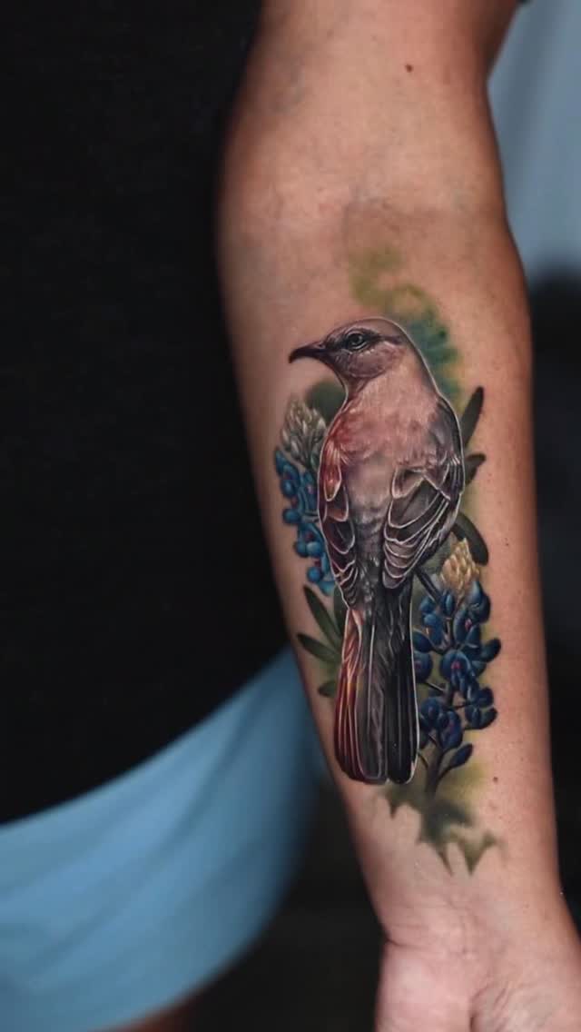 Animal