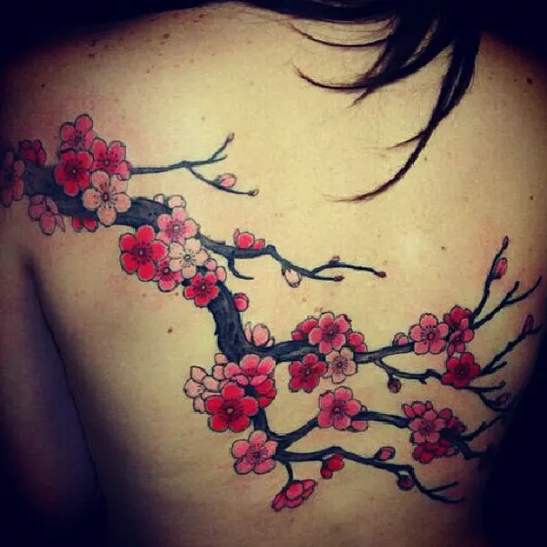 Flower, Nature, 일본 단풍, 일본