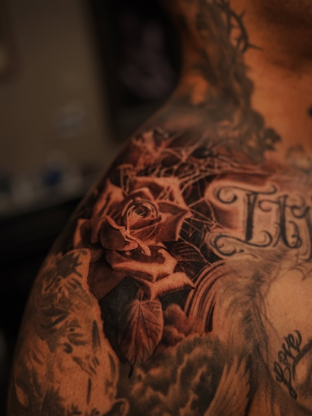 Flower, Rose, Nature