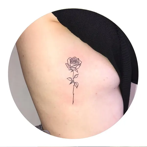 Flower, Rose