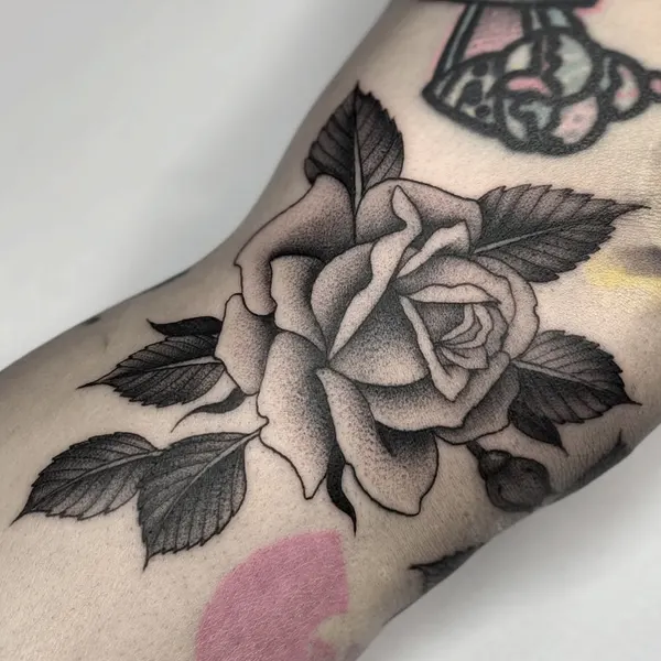 Flower, Rose