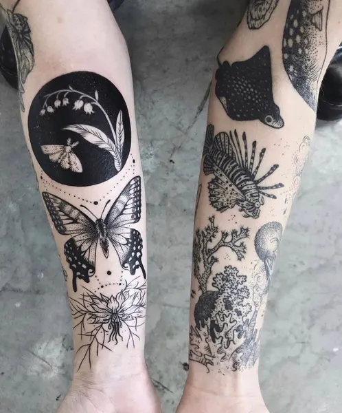 Animal, Nature