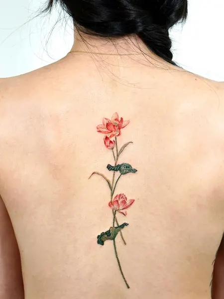Flower, Nature