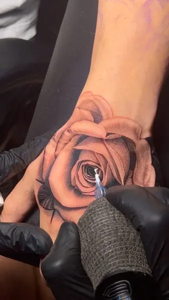 Flower, Rose