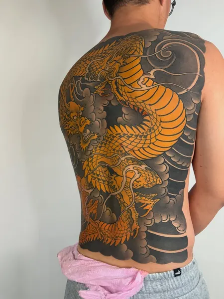 Dragon, 해부학