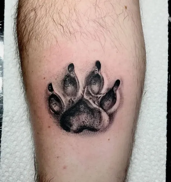 Animal, 발자국