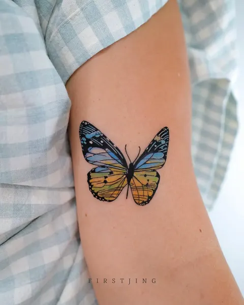 Animal, Nature, 나방, 매미, 나비