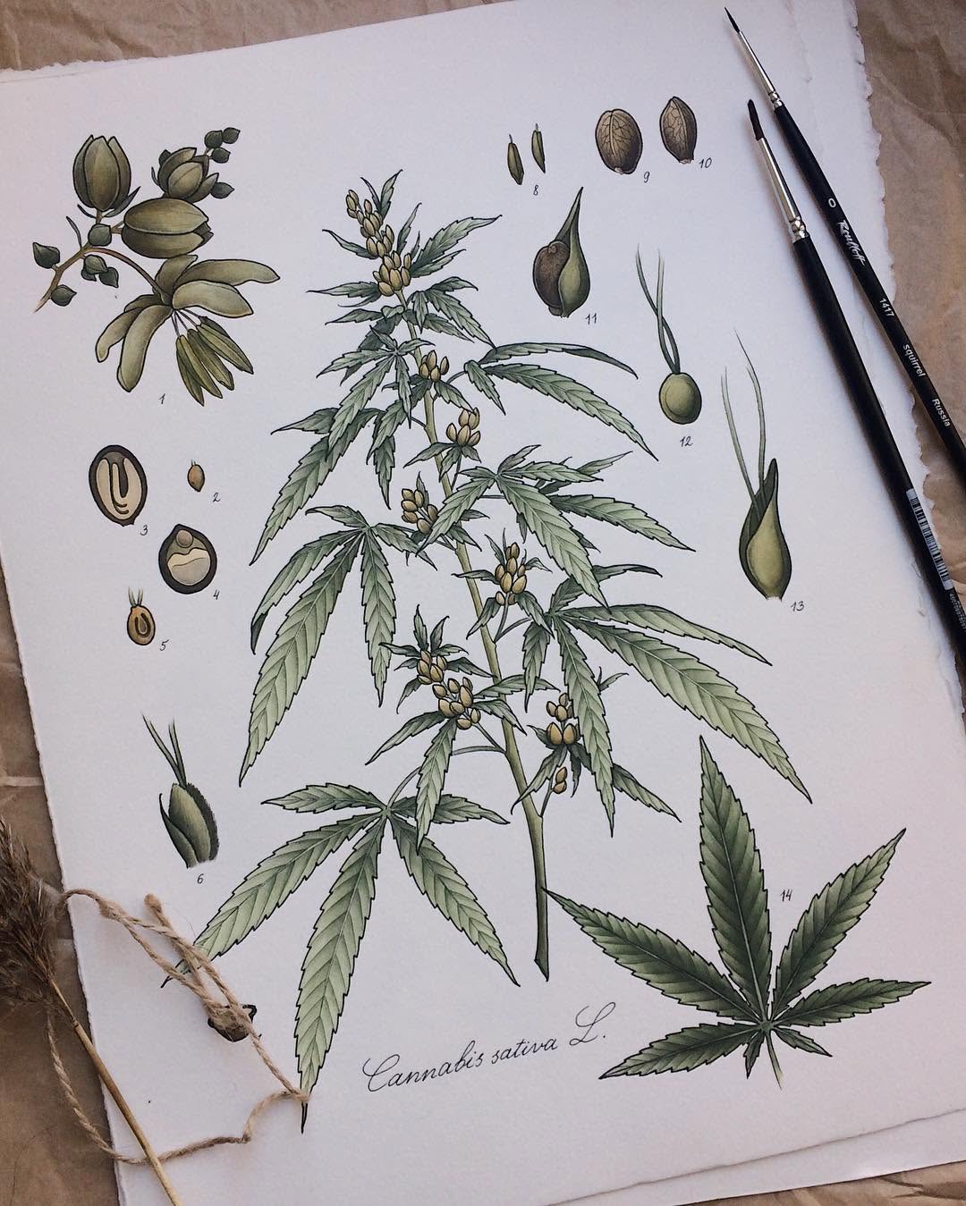 fflowerporn