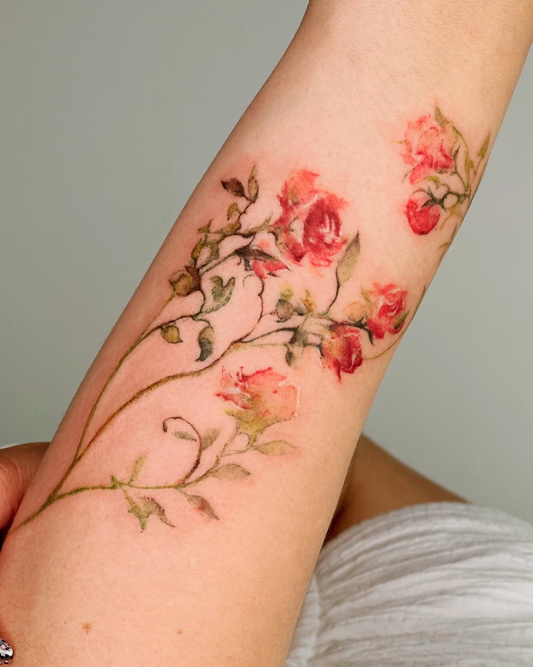 Flower, Rose, 꽃 배경