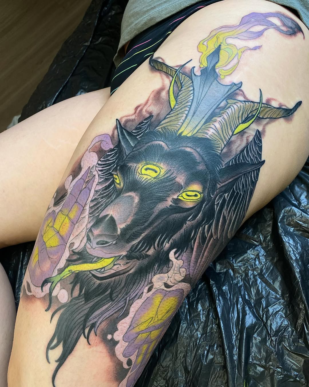 Animal, Tiger