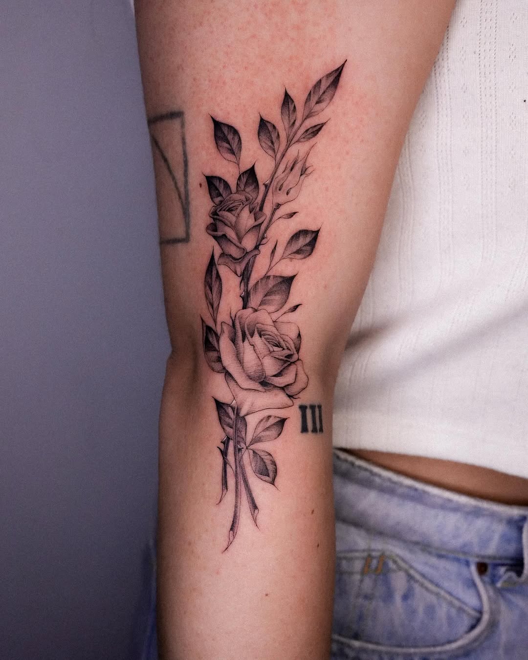 Flower, Rose, Nature, 꽃다발, 올리브 가지