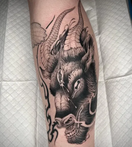 양, Dragon