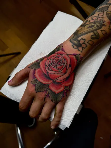 Flower, Rose