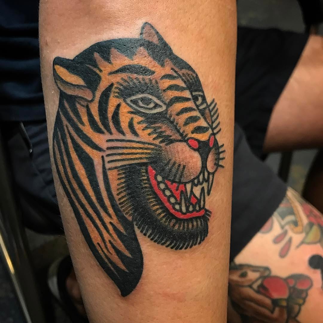 Tiger, Animal, 재규어, 한국 호랑이