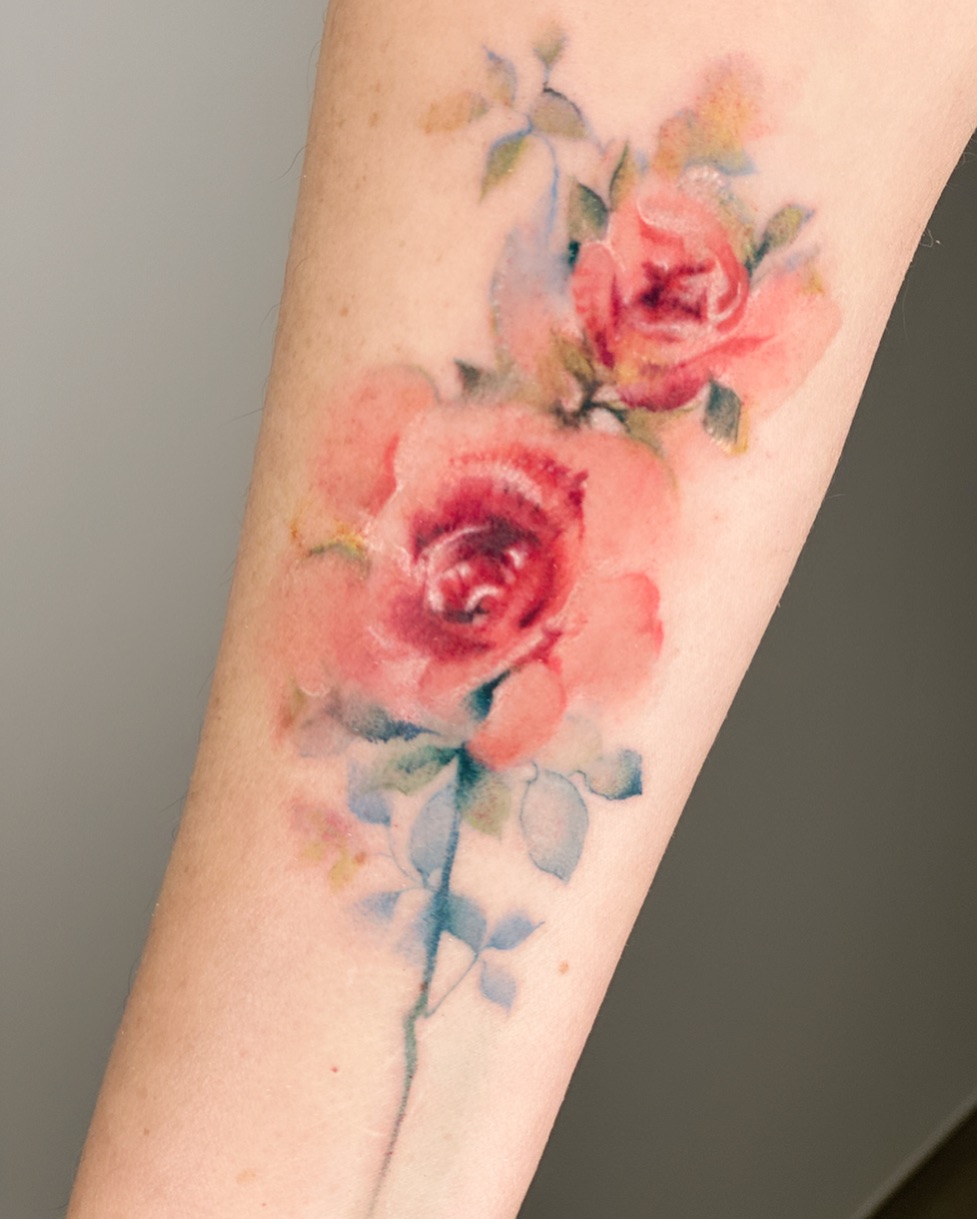Flower, Rose, 꽃 배경