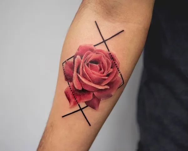 Flower, Rose