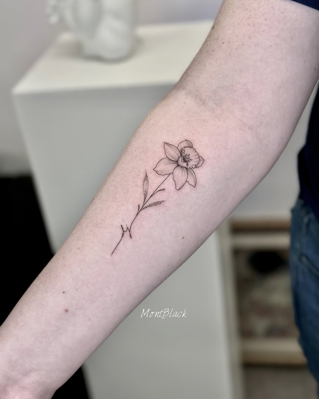 Flower, Rose, 카네이션