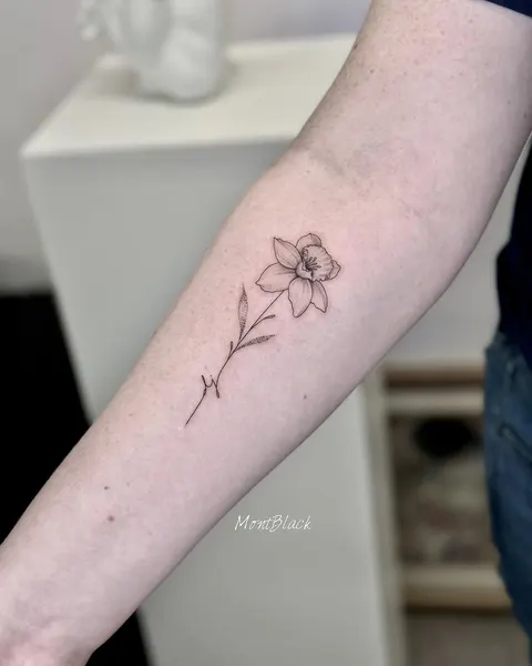 Flower, Rose, 카네이션