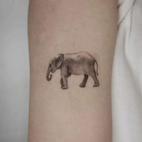 Flower, 소, 양, 함사, 멧돼지, 코끼리, 코알라, 나무늘보, Animal, 텐구, 황소, 그리핀