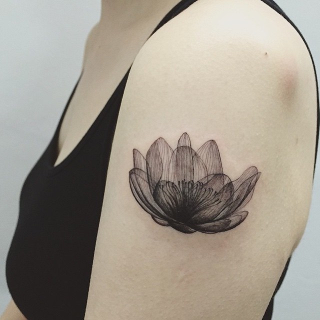 잎, Flower, 모란, 목련, 백합, 연꽃, 국화, 난초, 튤립, 선인장, 수선화, 탄생화, 아이리스, 조개껍데기, 연꽃 문양, 한국 연꽃, 산호, 조개