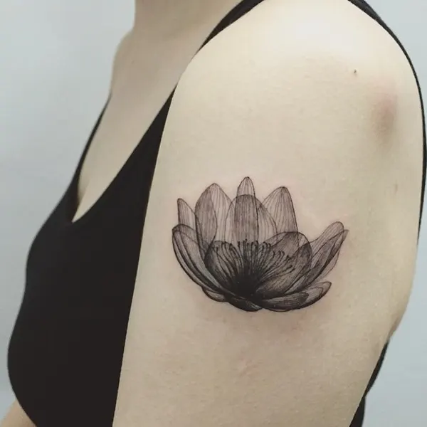 잎, Flower, 모란, 목련, 백합, 연꽃, 국화, 난초, 튤립, 선인장, 수선화, 탄생화, 아이리스, 조개껍데기, 연꽃 문양, 한국 연꽃, 산호, 조개