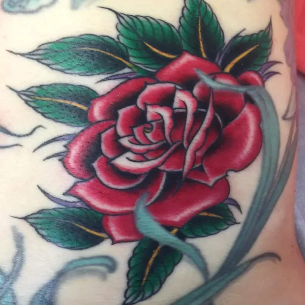 Flower, Rose