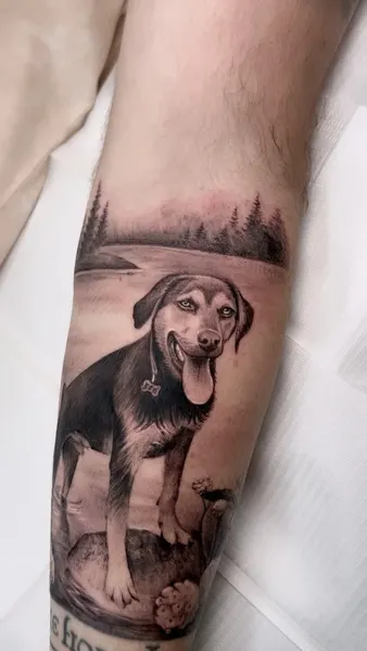 Animal