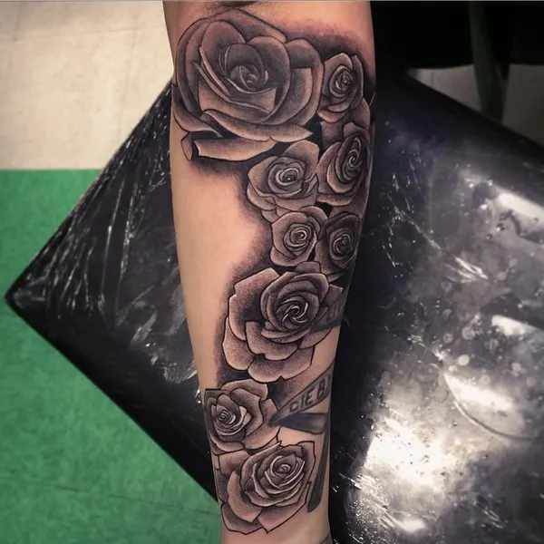 Flower, Rose