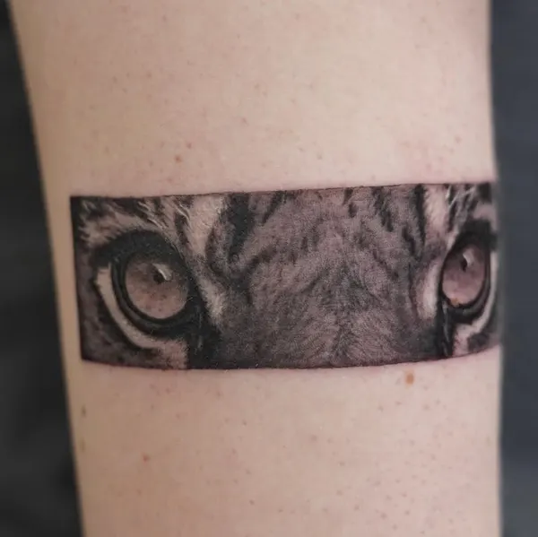 Tiger, 카메라