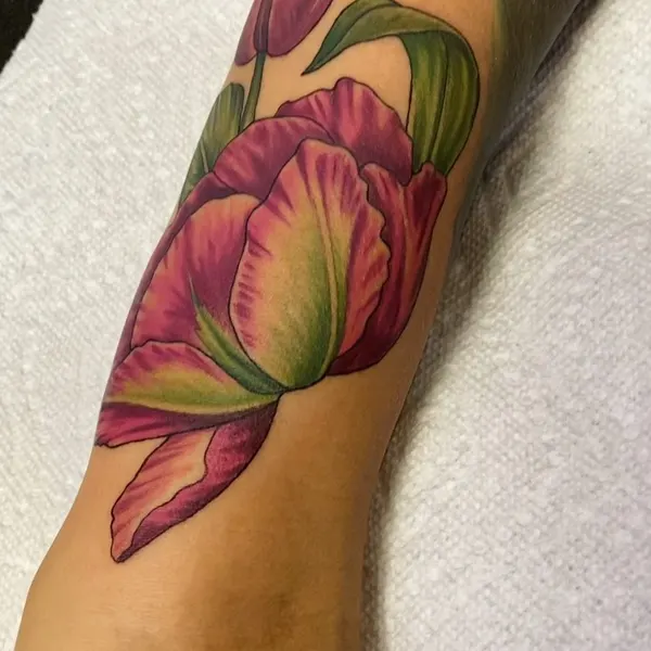Flower, Rose, 튤립, 히비스커스